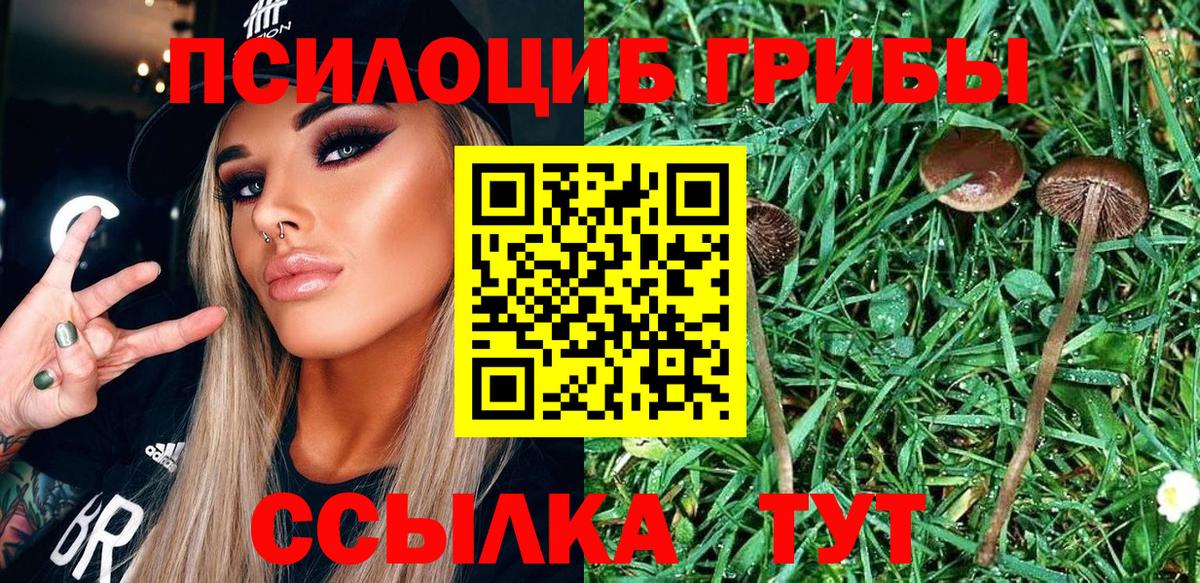 Галлюциногенные грибы мицелий Дальнереченск