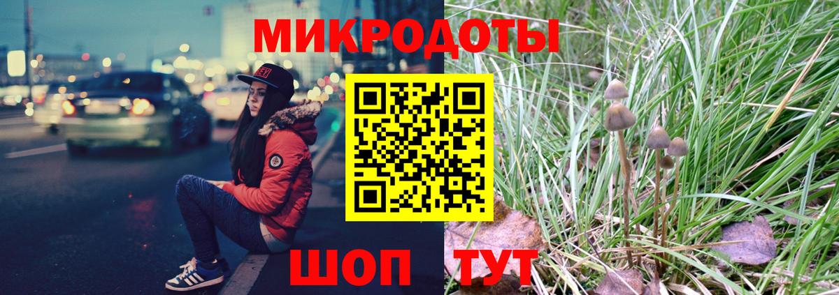 Галлюциногенные грибы Psilocybine cubensis  Псилоцибиновые грибы мухоморы  Дальнереченск  как найти   Вход с VPN 