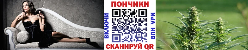 Канабис гибрид Дальнереченск